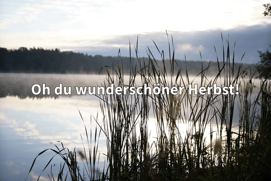 Oh du wunderschöner Herbst! - OR-Baits