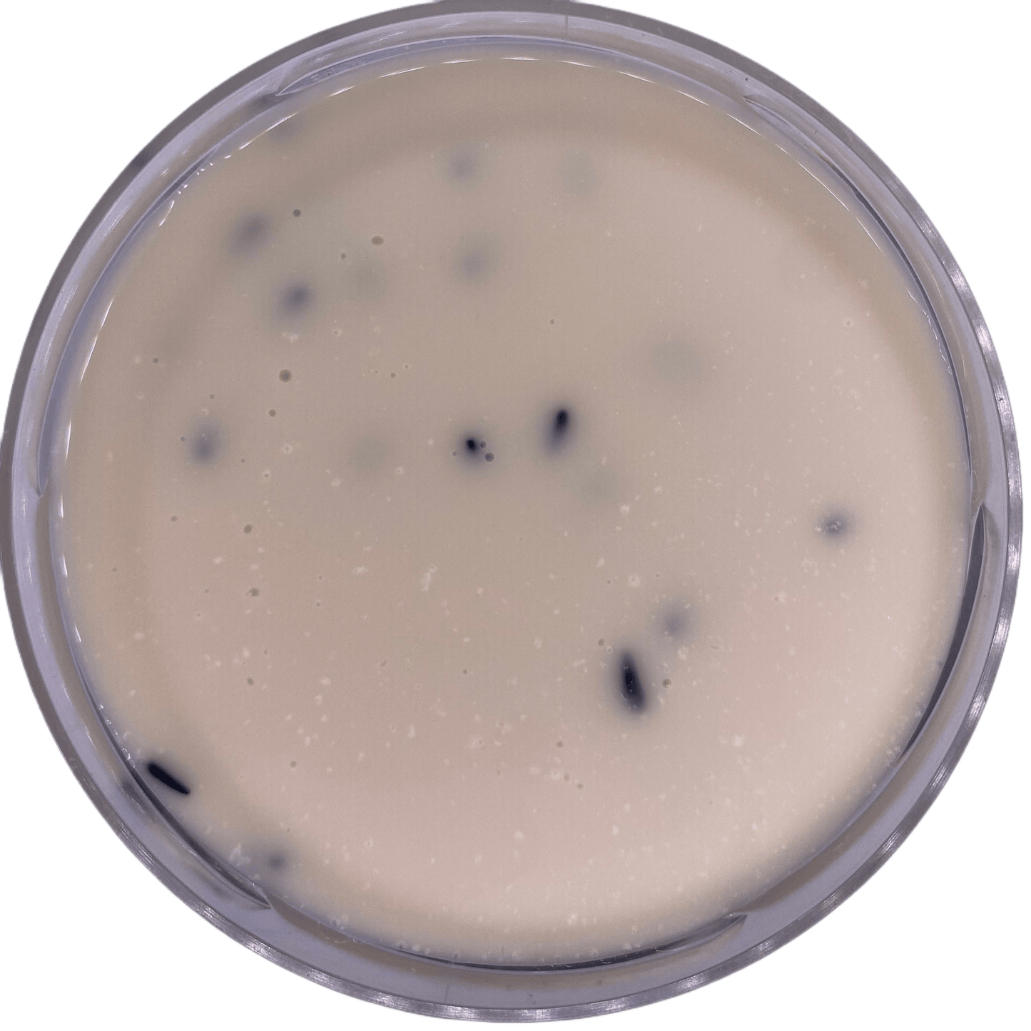 Milky Peach Creme Liquid - OR-Baits