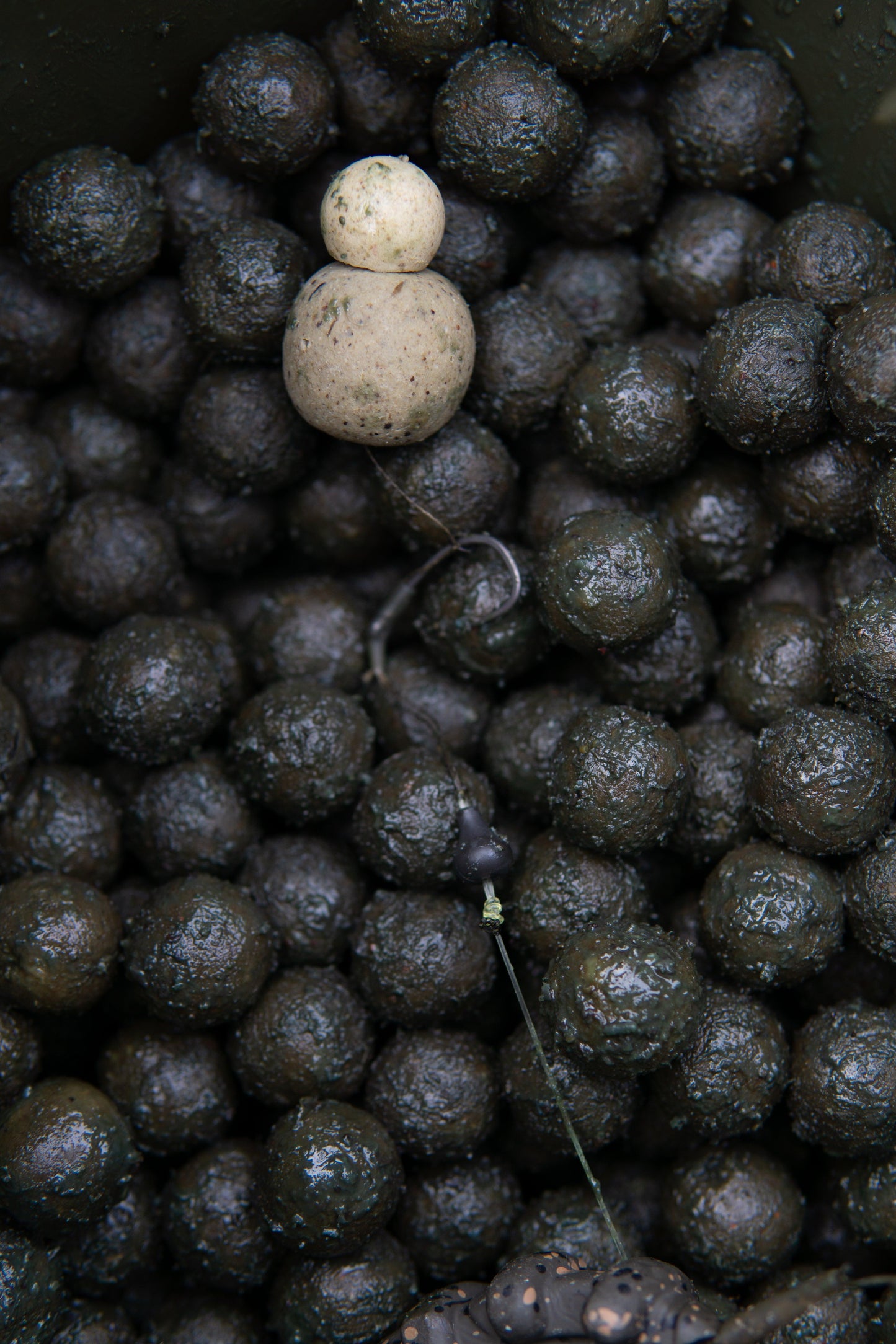 Pumpkin GLM Boilies - OR-Baits