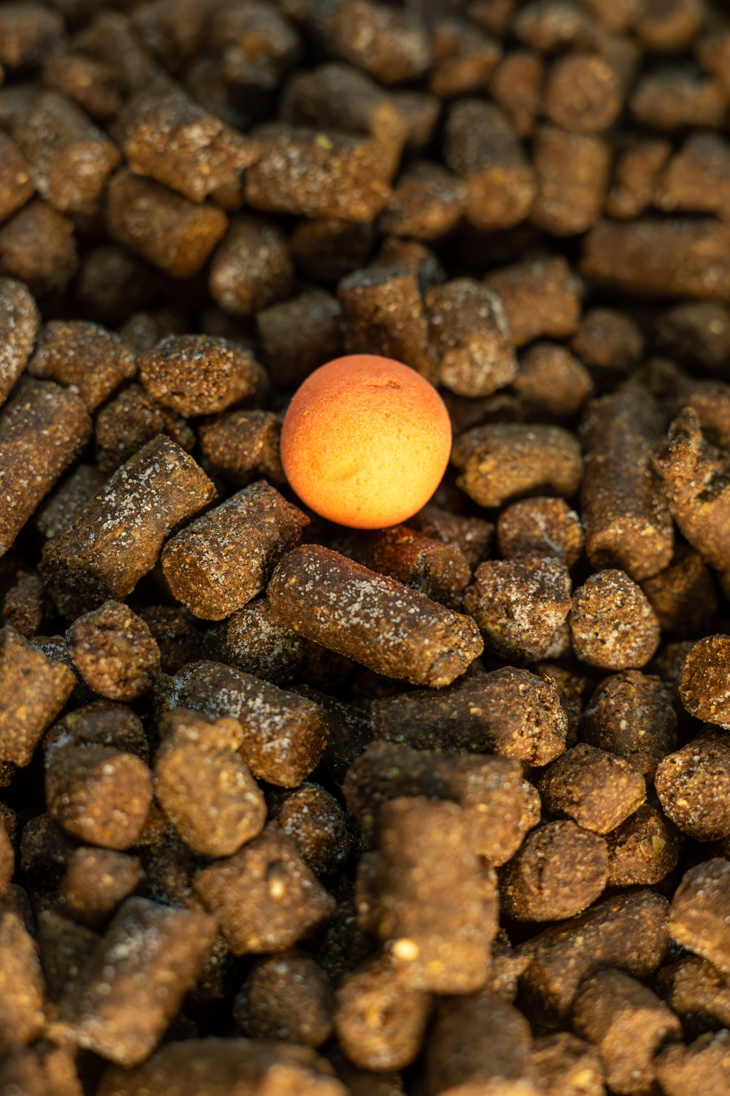 Fisch Bits Mini Boilies