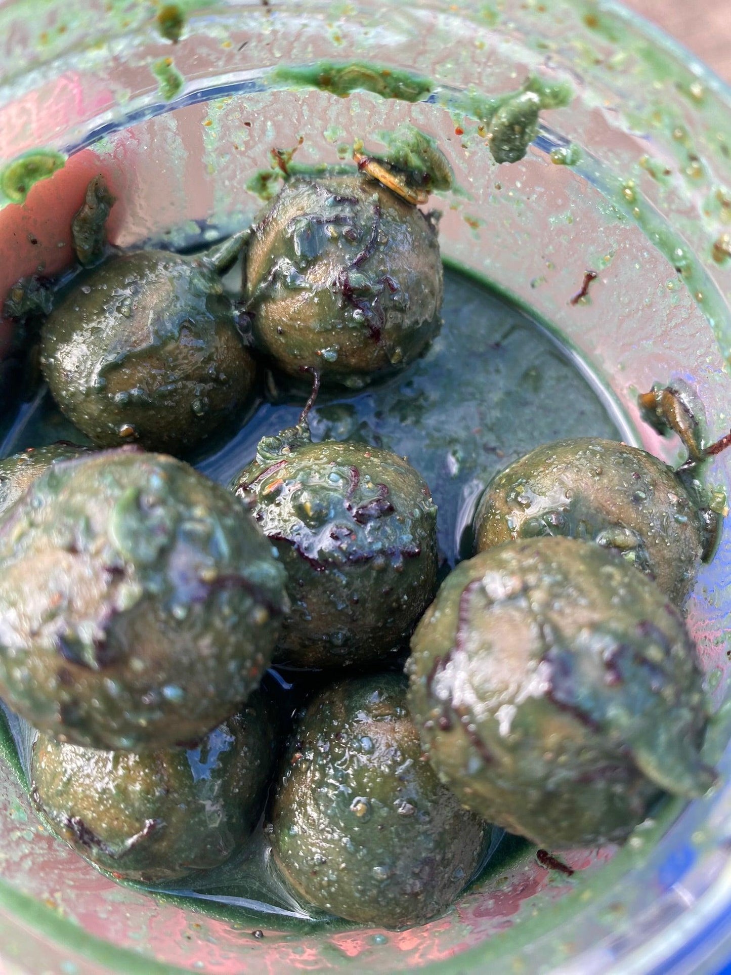 Pumpkin GLM Liquid - OR-Baits