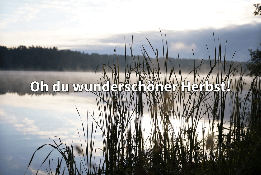 Oh du wunderschöner Herbst! - OR-Baits