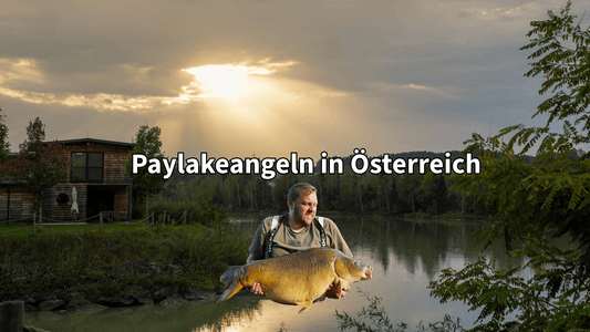 Paylakeangeln in Österreich - OR-Baits