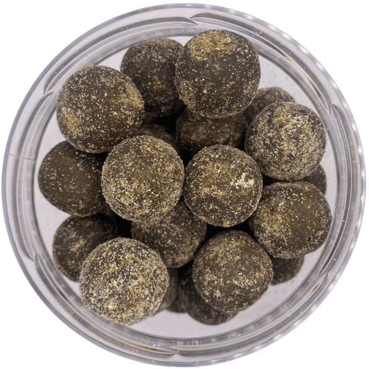 Pumpkin GLM Frühlingsbundle - OR-Baits