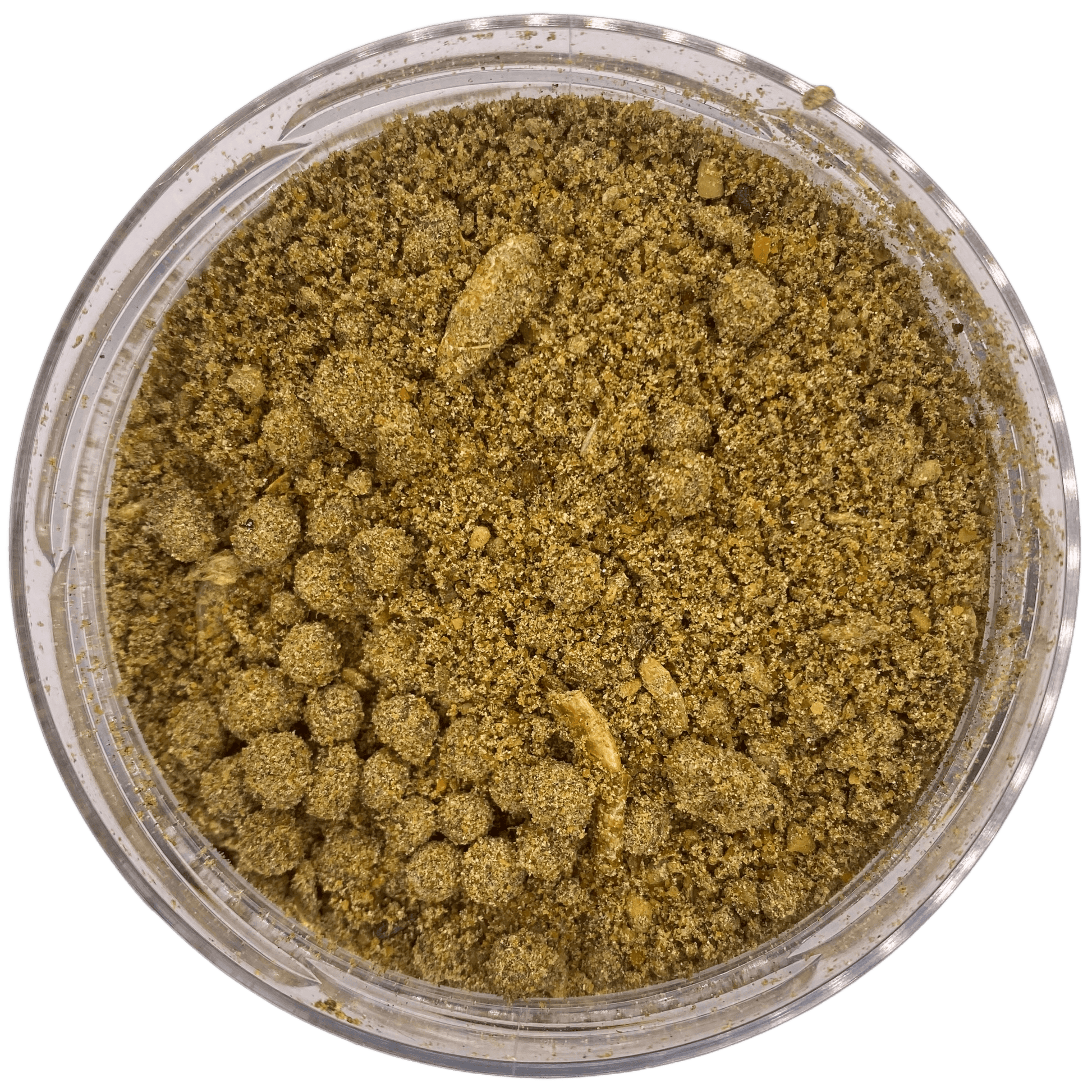 Pumpkin GLM Frühlingsbundle - OR-Baits