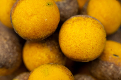 Fisch Banane Scopex TwoTone Hookbaits