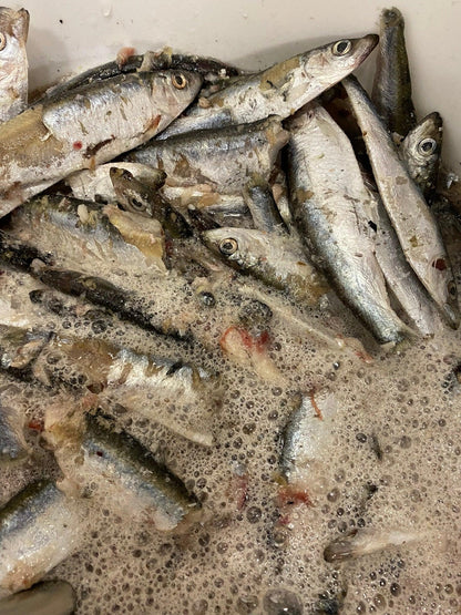 Fisch Liquid - OR-Baits